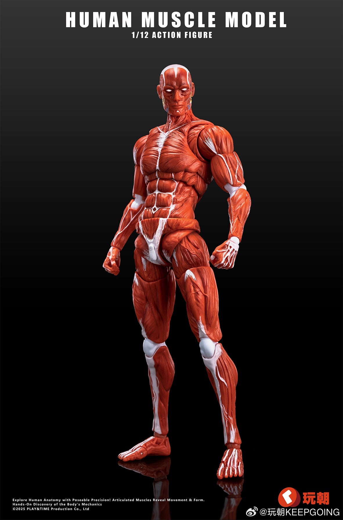 KEEPGOING 1/12 | Human Muscle Model Super Movable Doll | Red Color Ver.