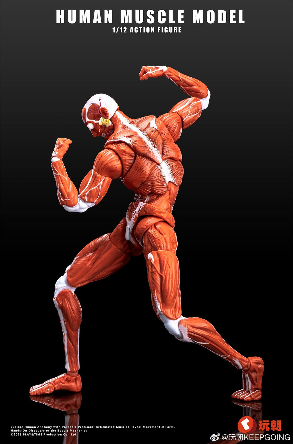 KEEPGOING 1/12 | Human Muscle Model Super Movable Doll | Red Color Ver.