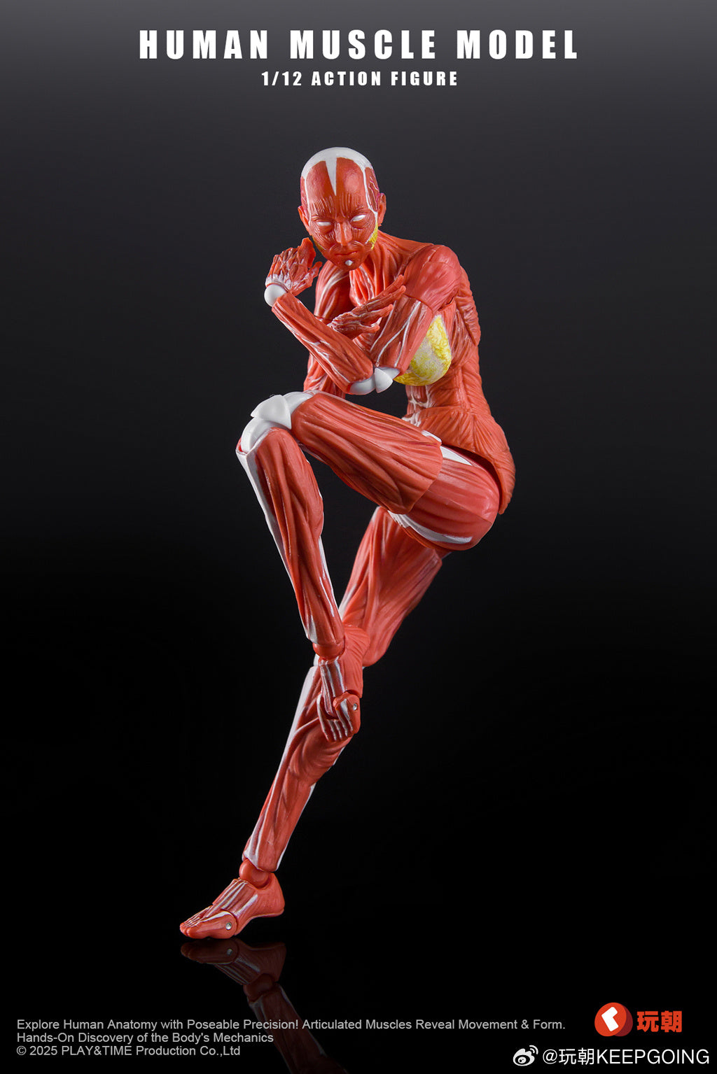 [Pre-Order] KEEPGOING 1/12 | Human Female Muscle Model | Super Movable Doll (Red Color Ver.)