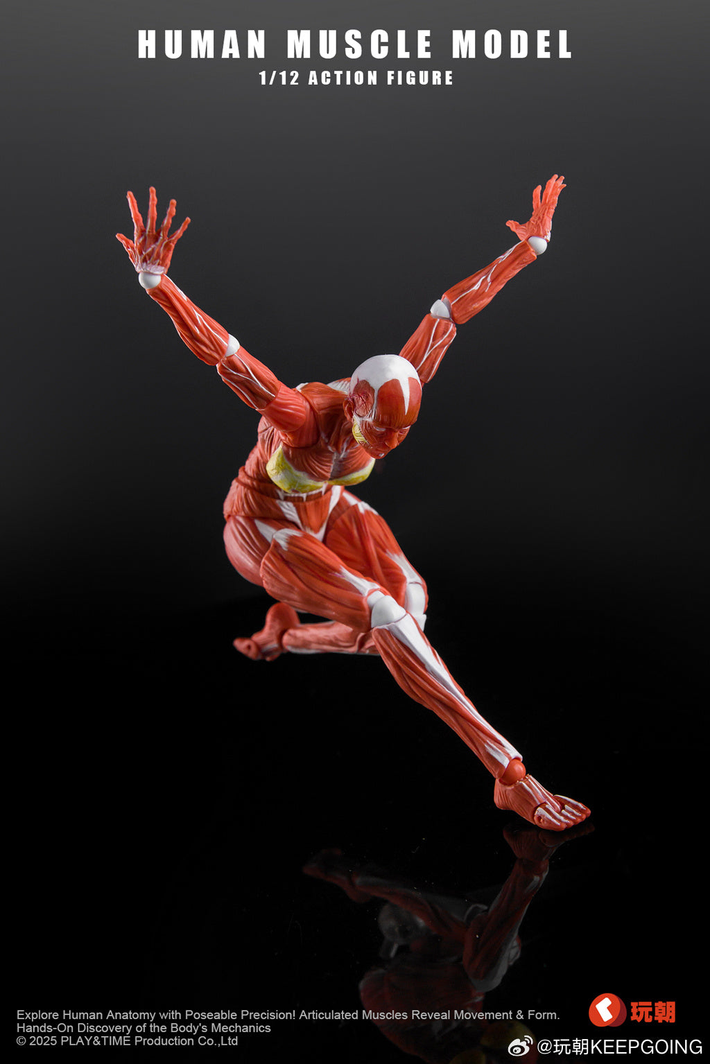 [Pre-Order] KEEPGOING 1/12 | Human Female Muscle Model | Super Movable Doll (Red Color Ver.)