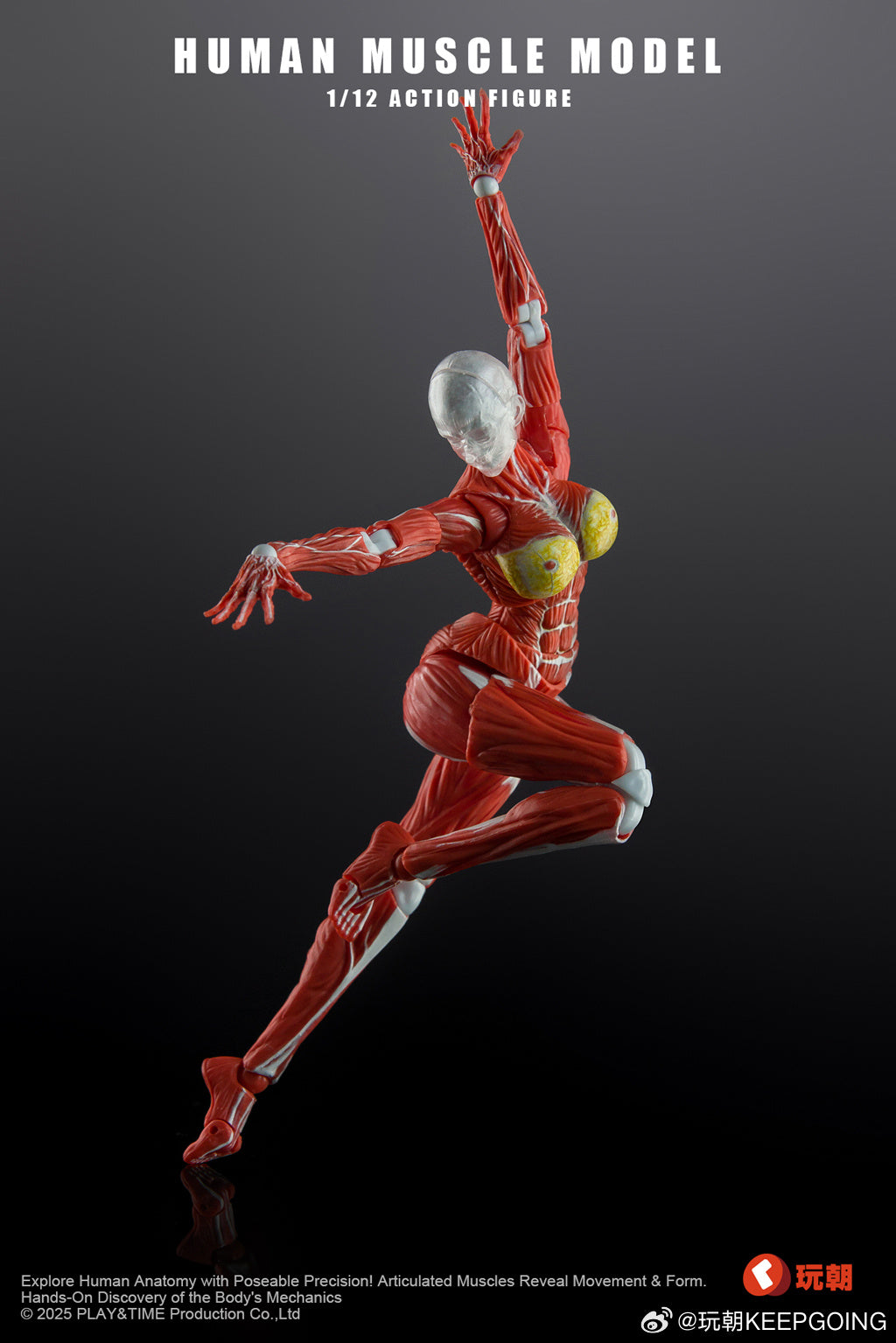 [Pre-Order] KEEPGOING 1/12 | Human Female Muscle Model | Super Movable Doll (Red Color Ver.)