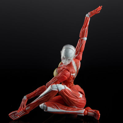 [Pre-Order] KEEPGOING 1/12 | Human Female Muscle Model | Super Movable Doll (Red Color Ver.)