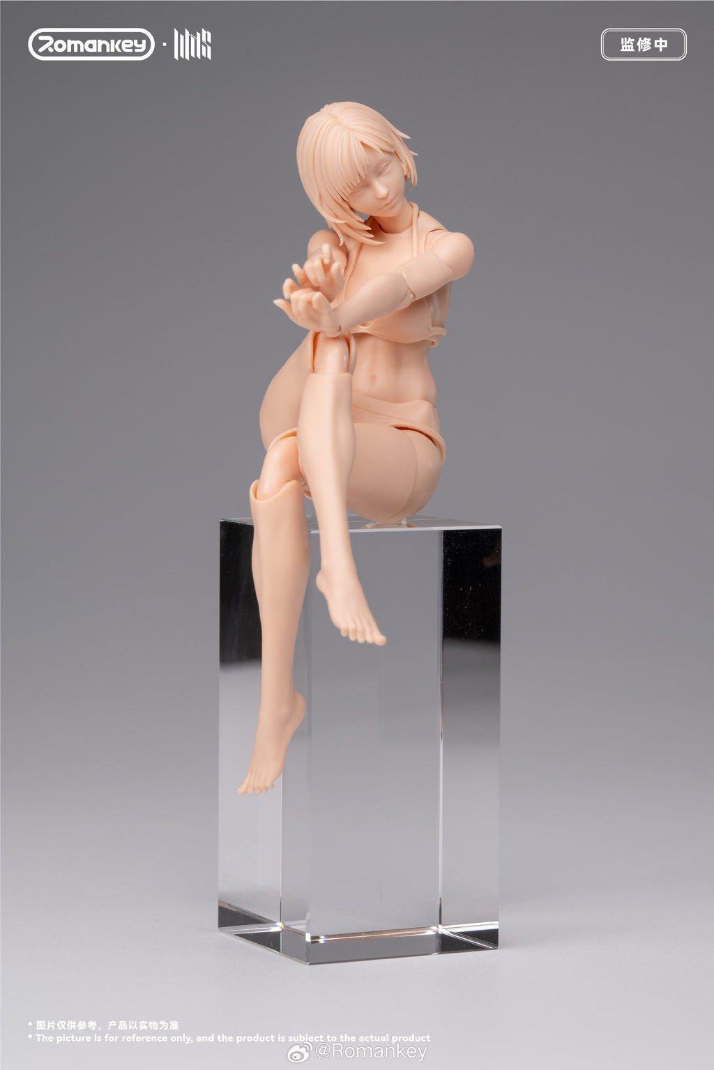 [Pre-Order] Romankey 1/12 | UMS004 Super Movable Body Series | Mia (Unpainted Version)