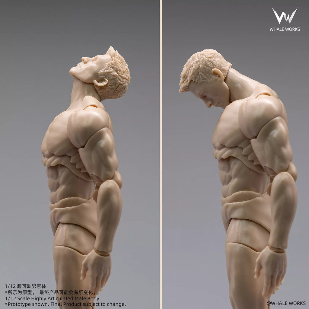 Whale Works 1/12 | WW03A Super Articulated Male Body | Ash (Fair Skin Version)