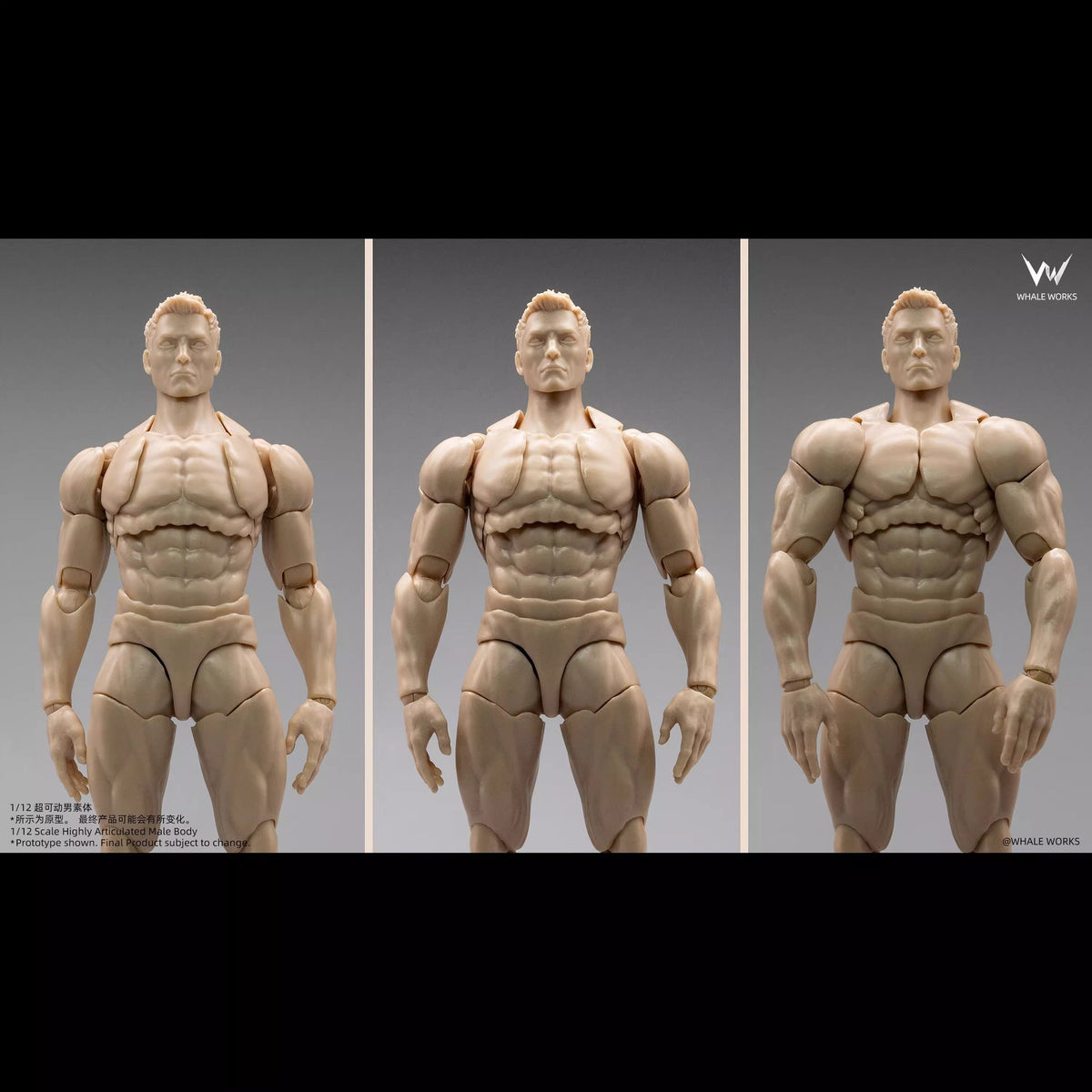 Whale Works 1/12 | WW03A Super Articulated Male Body | Ash (Fair Skin Version)