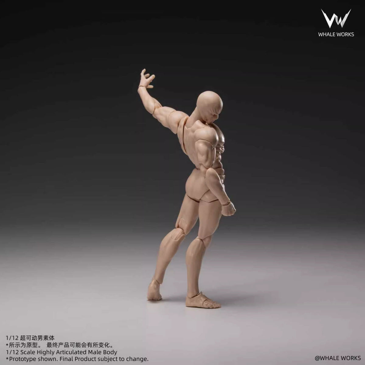 Whale Works 1/12 | WW03A Super Articulated Male Body | Ash (Fair Skin Version)