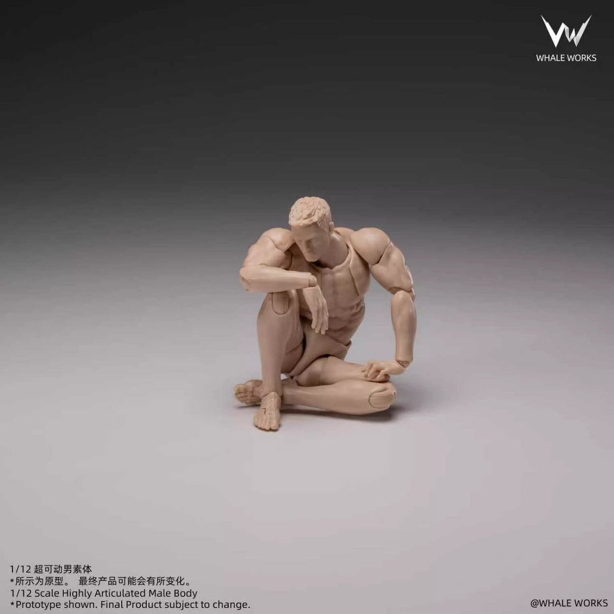 Whale Works 1/12 | WW03A Super Articulated Male Body | Ash (Fair Skin Version)