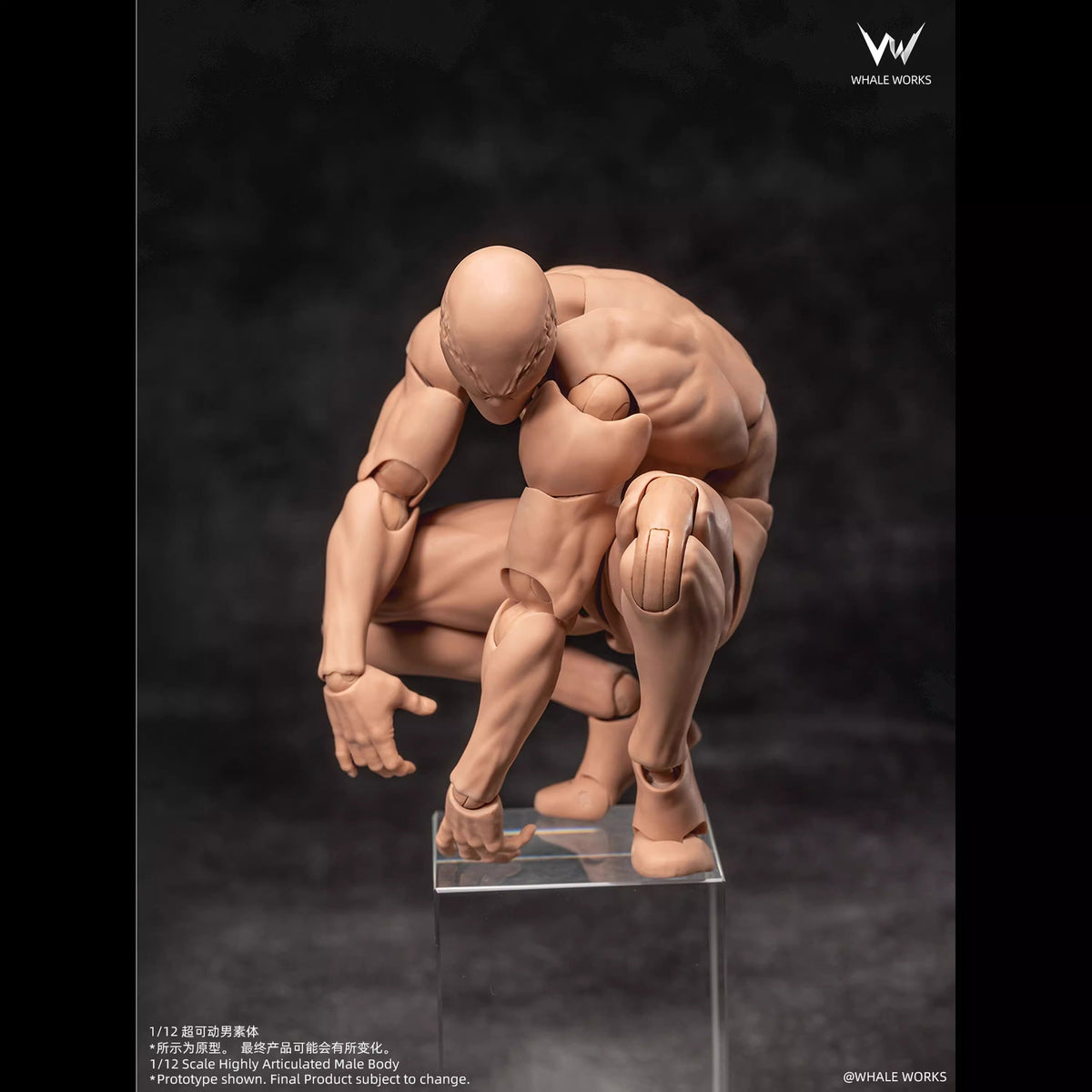 Whale Works 1/12 | WW03B Super Articulated Male Body | Ash (Yellow Skin Version)