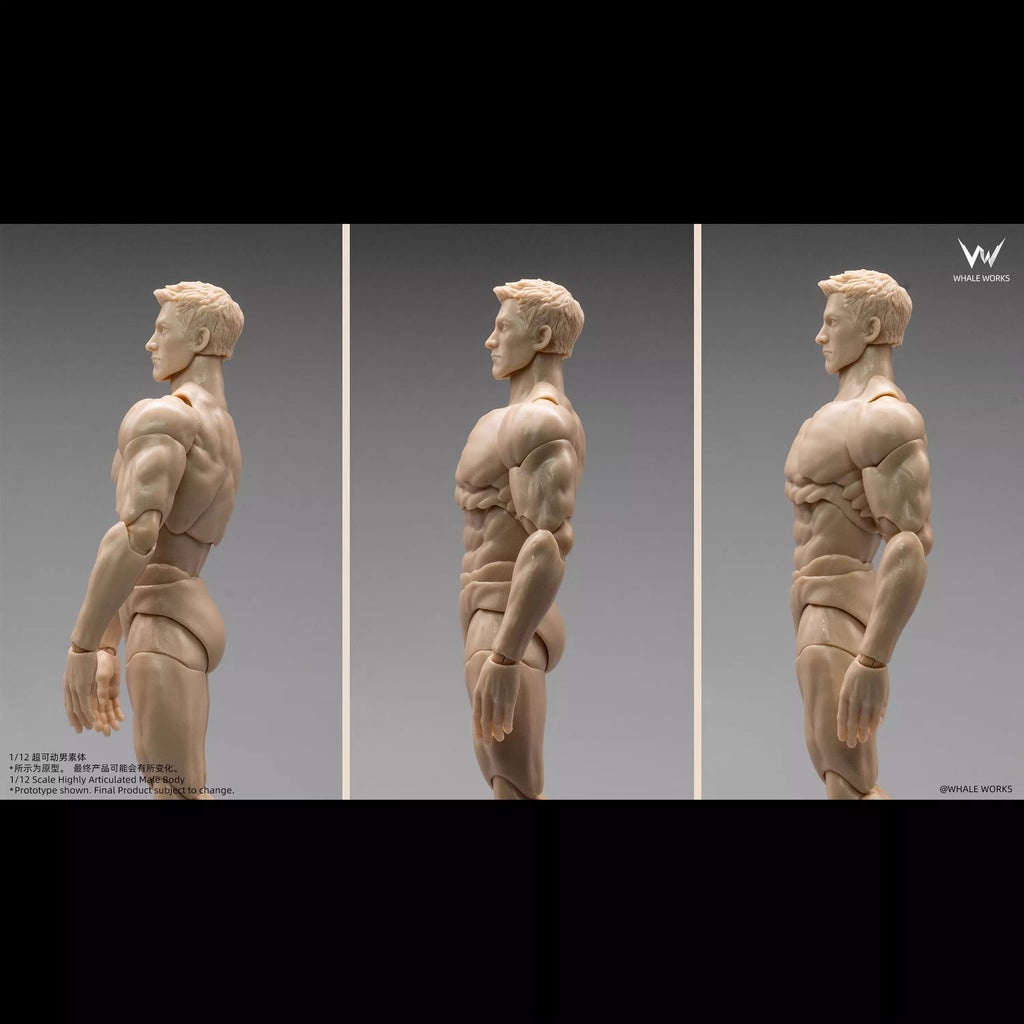 Whale Works 1/12 | WW03A Super Articulated Male Body | Ash (Fair Skin Version)