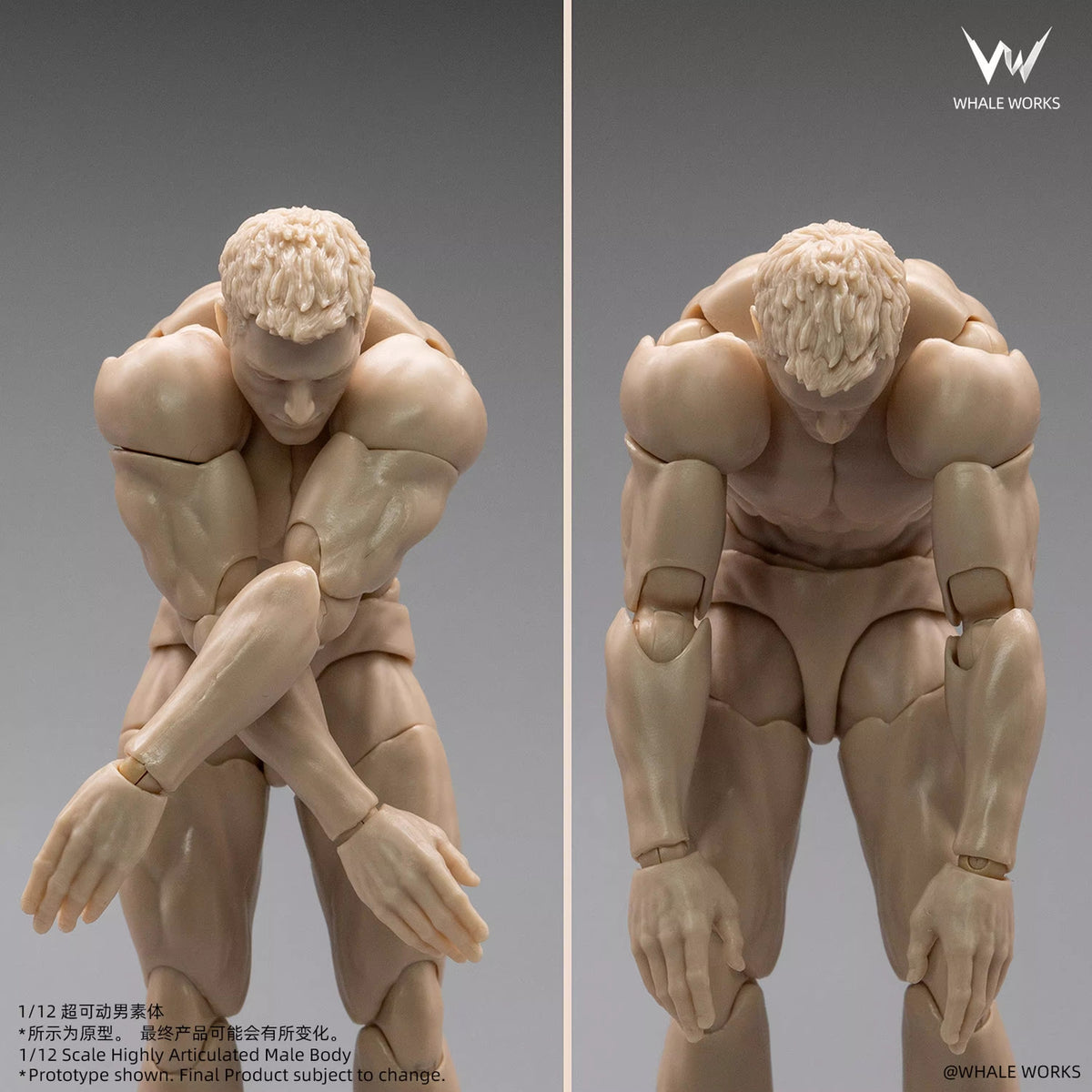 Whale Works 1/12 | WW03A Super Articulated Male Body | Ash (Fair Skin Version)