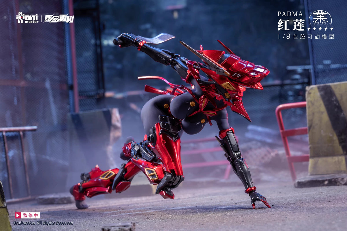 [Pre-Order] Animester Studio 1/9 | Padama