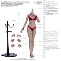 [Pre-Order] Mojoy 1/6 MJ-AF02 Slender Girlish Body w/o Head Sculpt Red Ver.